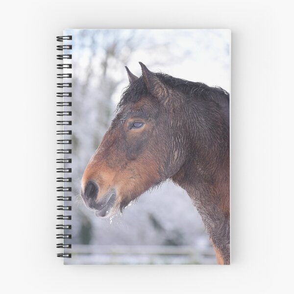 Item preview, Merry the Exmoor Pony in the Snow designed and sold by may whiston.