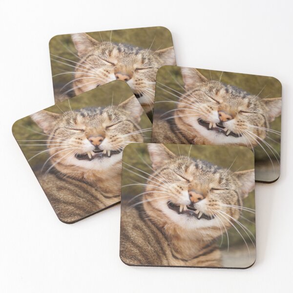 Item preview, Chubba the Happy Smiling Tabby Cat designed and sold by may whiston.