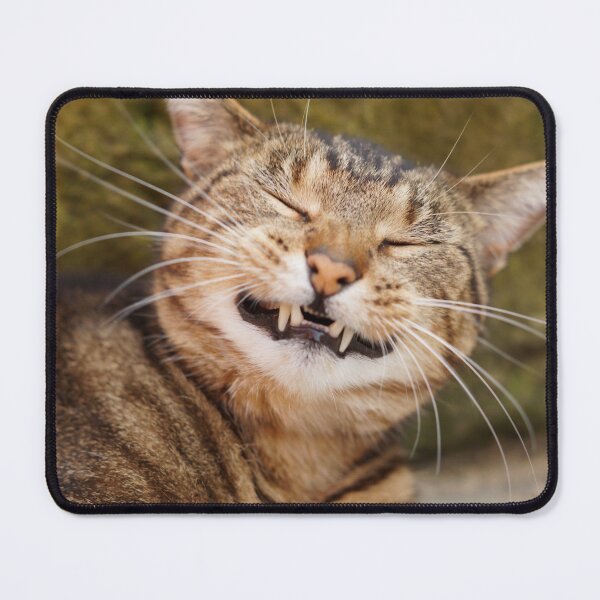 Item preview, Chubba the Happy Smiling Tabby Cat designed and sold by may whiston.