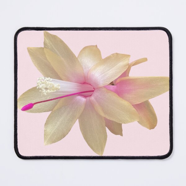 Item preview, Cactus Flower designed and sold by Sparkleweather.