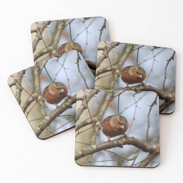 Item preview, common chaffinch bird designed and sold by Colourful Wonderful.
