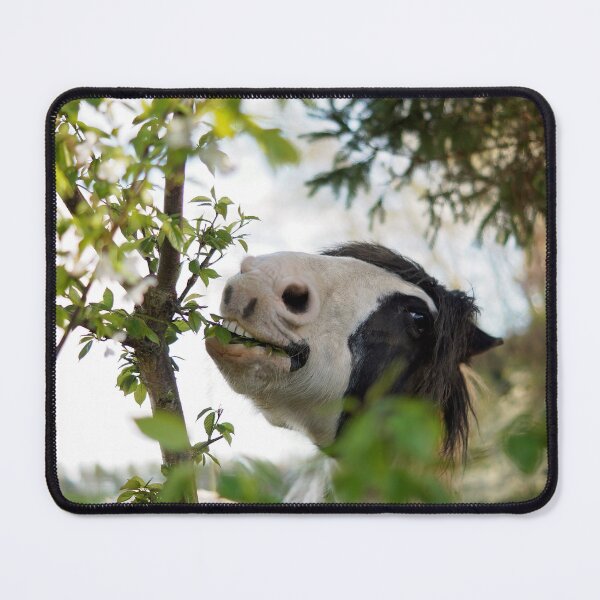 Item preview, Jack the happy Cob forgaging in the trees designed and sold by may whiston.