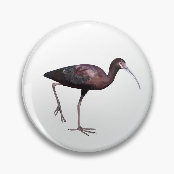 Item preview, White-faced Ibis designed and sold by Wondersofwhimsy.