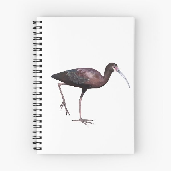 Item preview, White-faced Ibis designed and sold by Wondersofwhimsy.