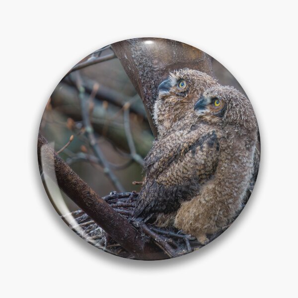 Item preview, Owls in the Rain designed and sold by Raymond J Barlow.