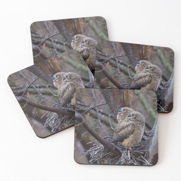 Item preview, Owls in the Rain designed and sold by Raymond J Barlow.