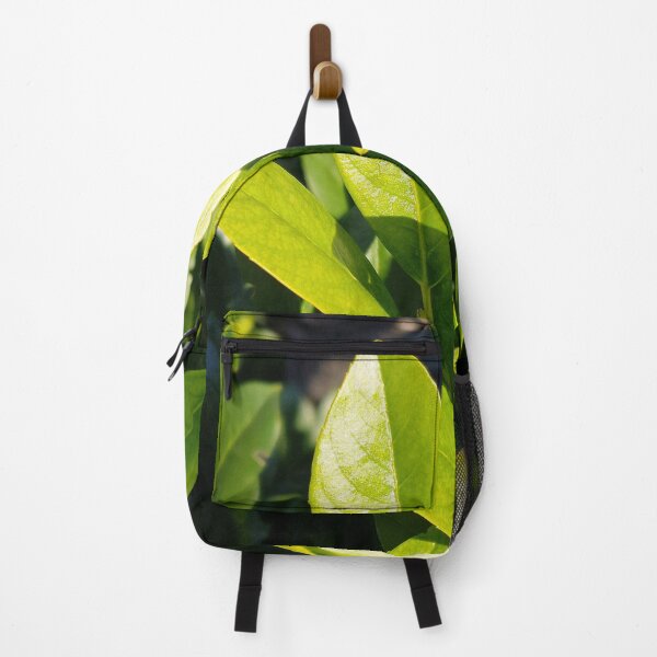 Item preview, Bright evergreen - Prunus Laurocerasus designed and sold by Gaboro.