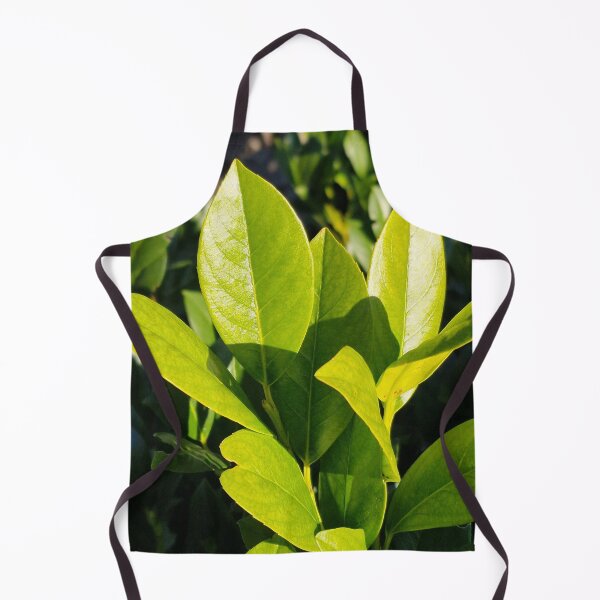 Item preview, Bright evergreen - Prunus Laurocerasus designed and sold by Gaboro.