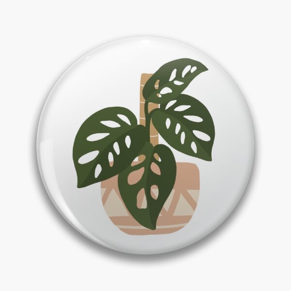 Item preview, Swiss Cheese Potted Monstera Plant designed and sold by DesignByRoseCo.