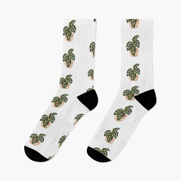 Item preview, Swiss Cheese Potted Monstera Plant designed and sold by DesignByRoseCo.