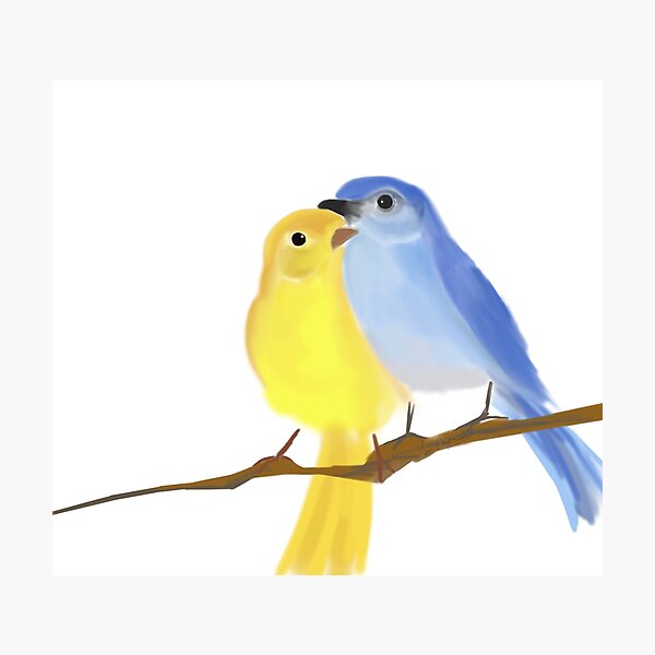 Item preview, Blue Bird and Cannery  designed and sold by Bellou28.