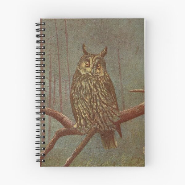 Item preview, Vintage Illustration of an Owl (1902) designed and sold by BravuraMedia.