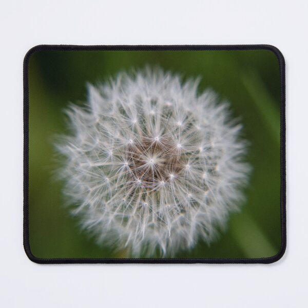 Item preview, Make a Wish and Blow! designed and sold by elisewied.