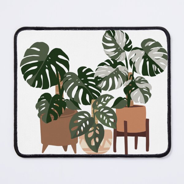 Item preview, Monstera Potted Plant Collection designed and sold by DesignByRoseCo.