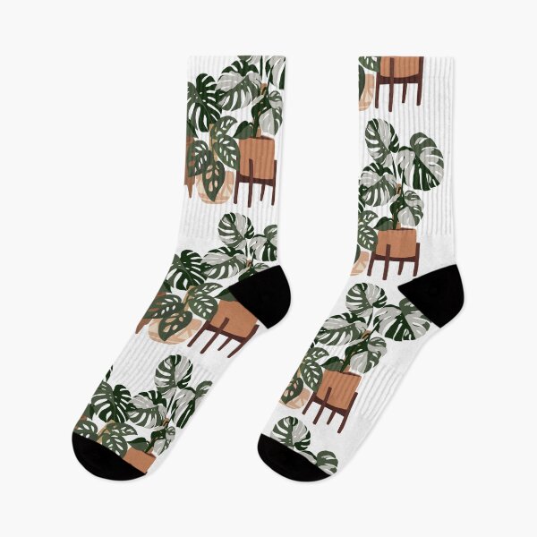 Item preview, Monstera Potted Plant Collection designed and sold by DesignByRoseCo.