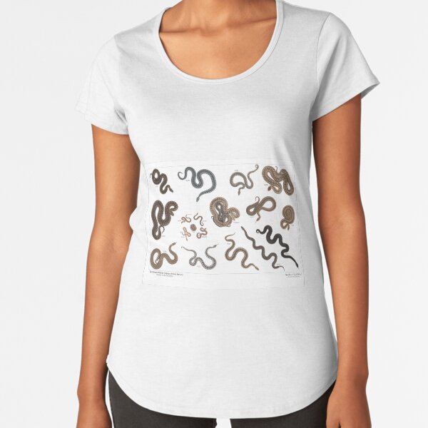 Premium Scoop T-Shirt