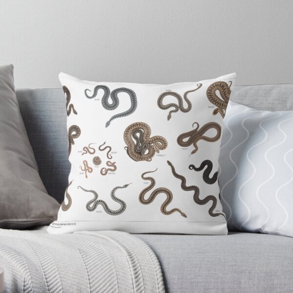 Throw Pillow