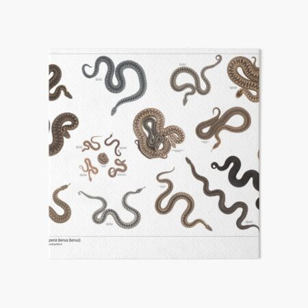 Art Board Print