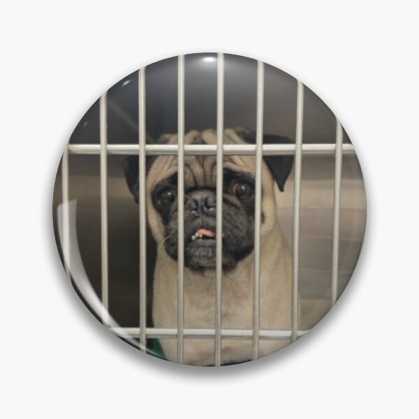 Item preview, Milo’s Mugshot designed and sold by Gabo2013.