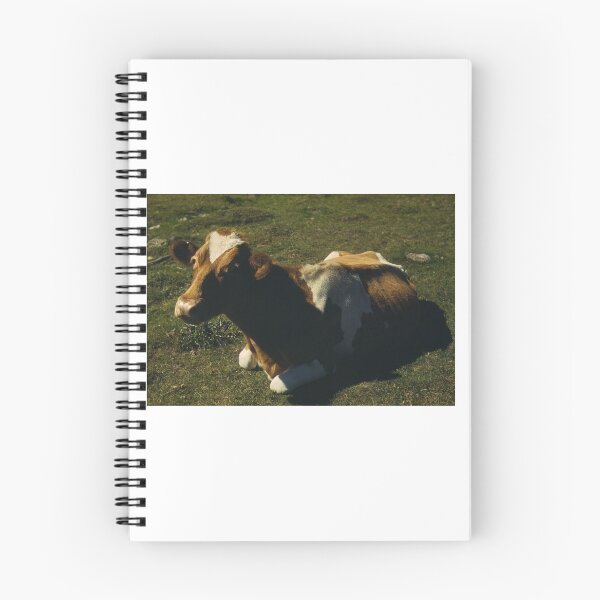 Item preview, Vintage Cow Photography designed and sold by cow-goes-moo.