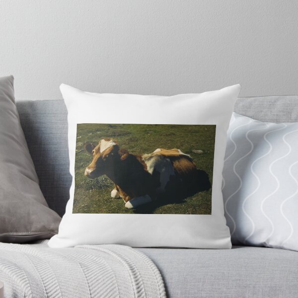 Item preview, Vintage Cow Photography designed and sold by cow-goes-moo.