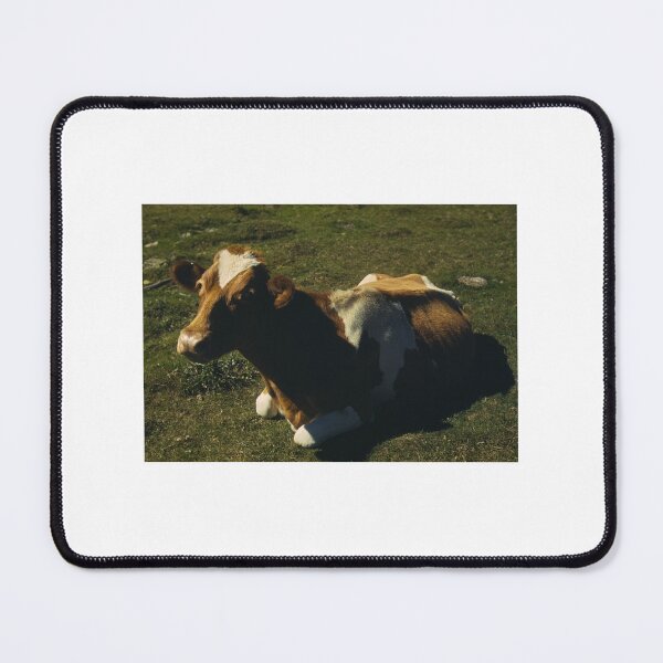 Item preview, Vintage Cow Photography designed and sold by cow-goes-moo.