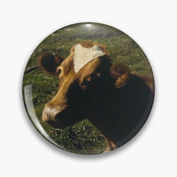 Item preview, Vintage Cow Photography designed and sold by cow-goes-moo.