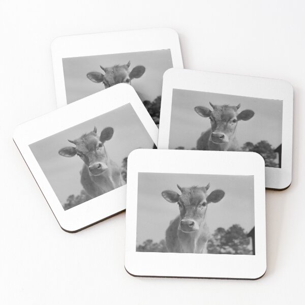 Item preview, Beautiful Vintage Cow Photography designed and sold by cow-goes-moo.