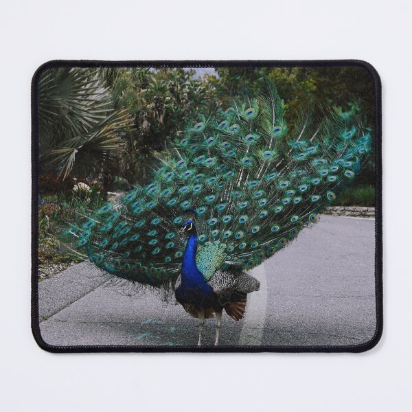 Item preview, Peacock Los Angeles County Arboretum designed and sold by xaviccino.