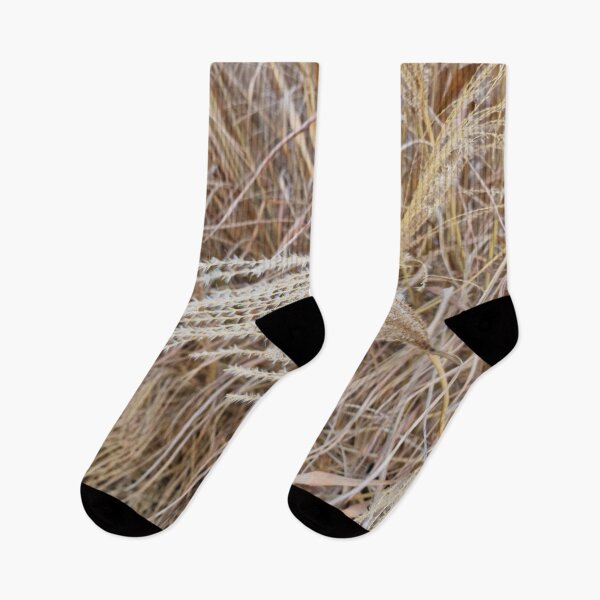 Item preview, Pampas Grass in Winter designed and sold by Gaboro.