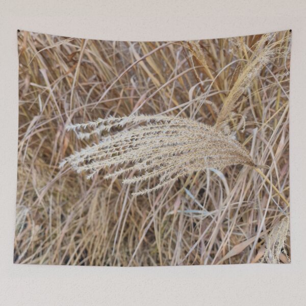 Item preview, Pampas Grass in Winter designed and sold by Gaboro.