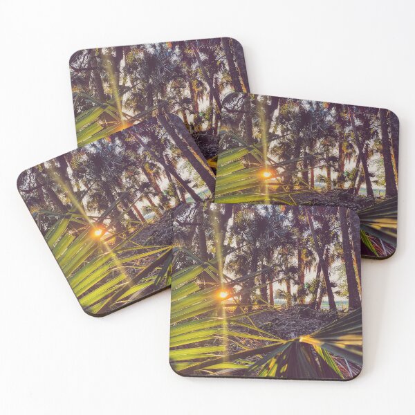 Item preview, Palmetto At Dawn designed and sold by Jason Tompkins.