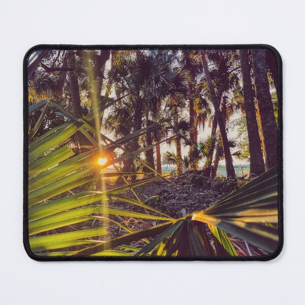Item preview, Palmetto At Dawn designed and sold by Jason Tompkins.