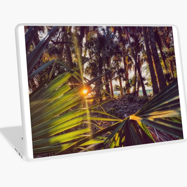 Aperçu de l'œuvre Palmetto à l'aube créée et vendue par Jason Tompkins.