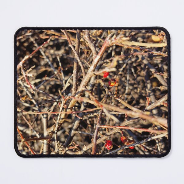Item preview, Dried Euonymus in Winter designed and sold by Gaboro.