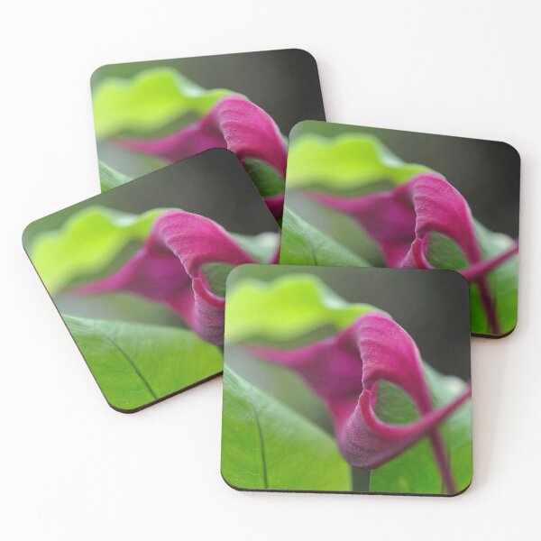 Item preview, Bold Arcs in Magenta and Green - Botanical Photography - Original Abstract Fine Art designed and sold by SageFolio.