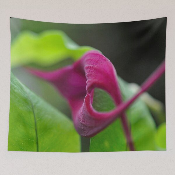 Item preview, Bold Arcs in Magenta and Green - Botanical Photography - Original Abstract Fine Art designed and sold by SageFolio.