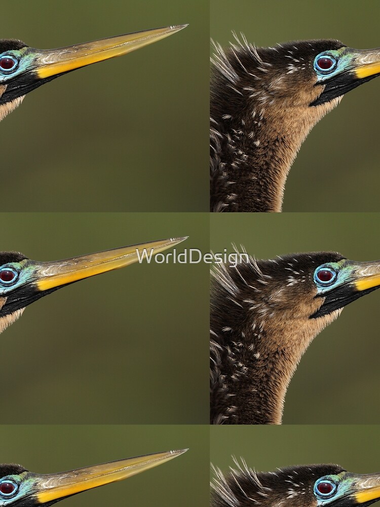 Thumbnail 3 of 3, Scarf, Anhinga Portrait designed and sold by WorldDesign.