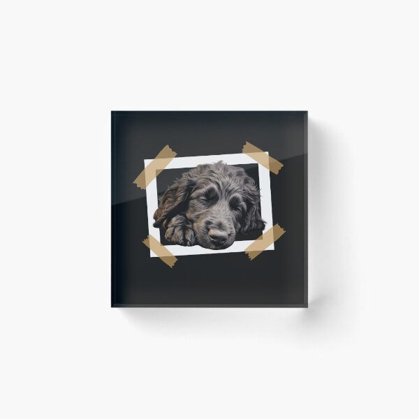 Item preview, Curly Coated Retriever Puppy Sleeping designed and sold by TheAnimalZ00.