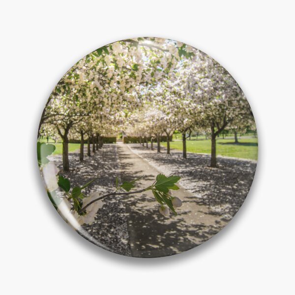 Item preview, MillBrook Park Tenterfield designed and sold by sprayzz123.
