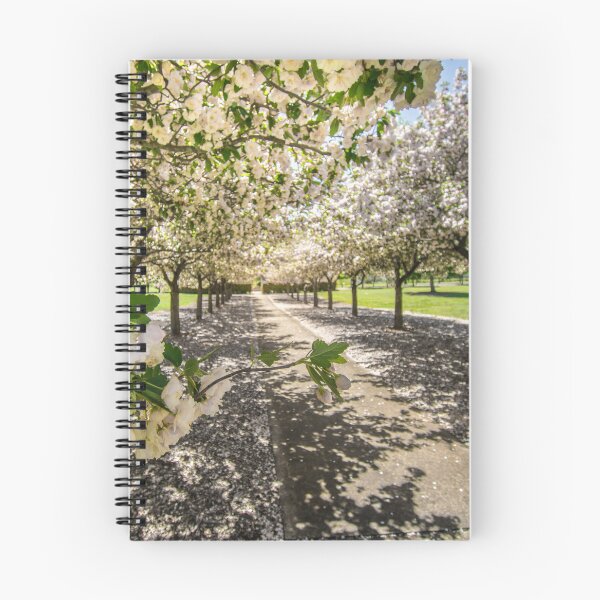 Item preview, MillBrook Park Tenterfield designed and sold by sprayzz123.
