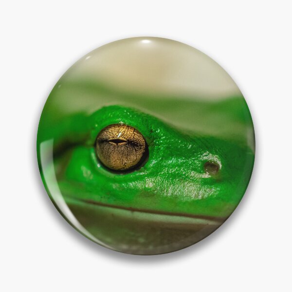 Item preview, Macro shot of Green Frog designed and sold by sprayzz123.