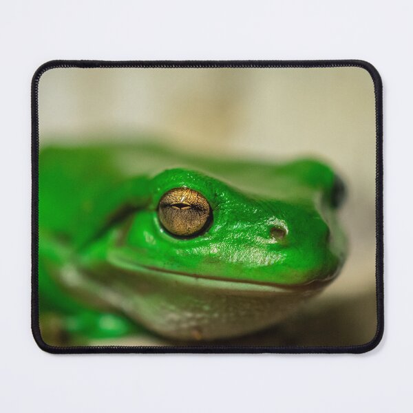 Item preview, Macro shot of Green Frog designed and sold by sprayzz123.