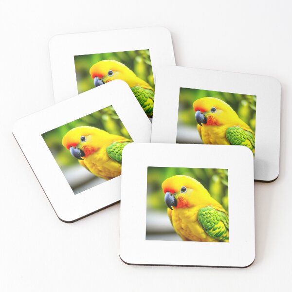 Item preview, Sun Conure, Sun Parakeet designed and sold by nicheteees.