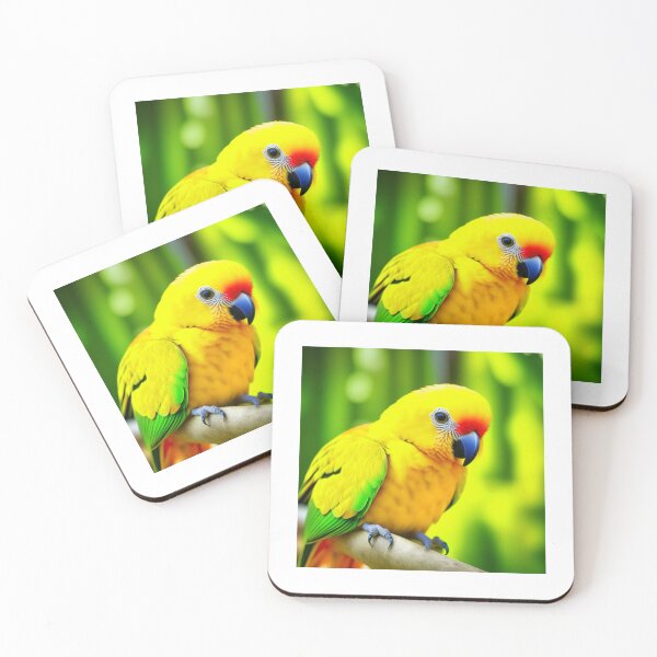 Item preview, Sun Conure, Sun Parakeet designed and sold by nicheteees.