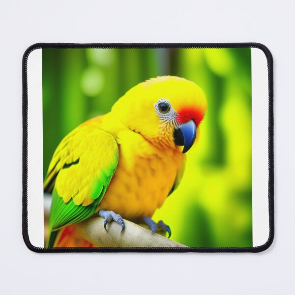 Item preview, Sun Conure, Sun Parakeet designed and sold by nicheteees.
