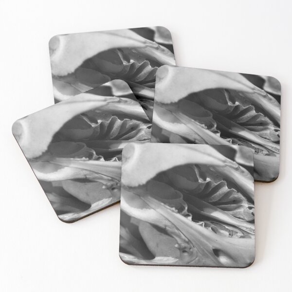 Item preview, SKULL 001 - Abstract Gothic Photography - Malayan Tapir designed and sold by SageFolio.