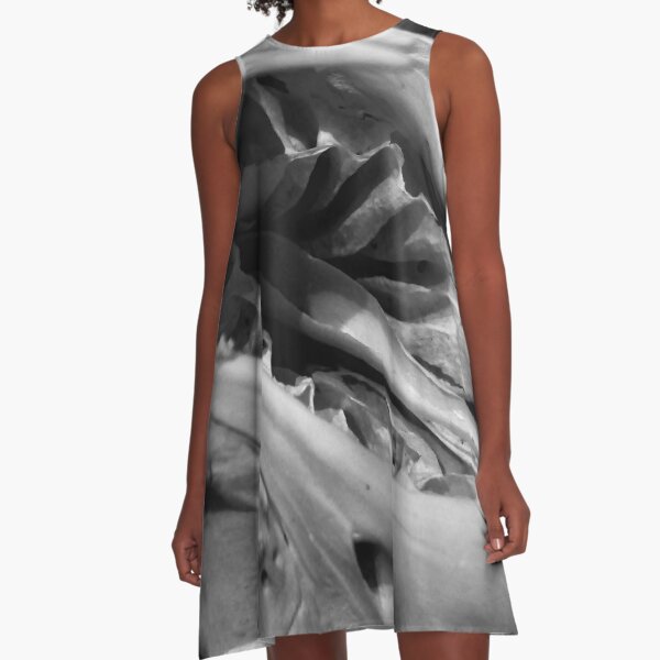 SKULL 001 - Abstract Gothic Photography - Malayan Tapir A-Line Dress