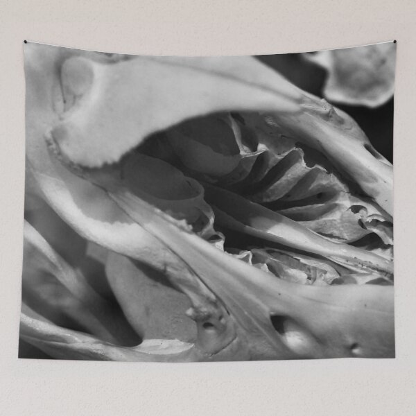 Item preview, SKULL 001 - Abstract Gothic Photography - Malayan Tapir designed and sold by SageFolio.