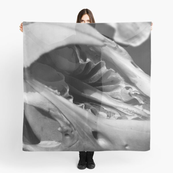 SKULL 001 - Abstract Gothic Photography - Malayan Tapir Scarf
